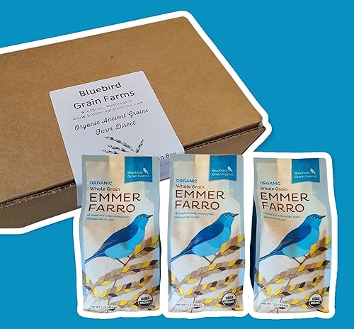Emmer Farro orgánico de grano entero Pack de 3