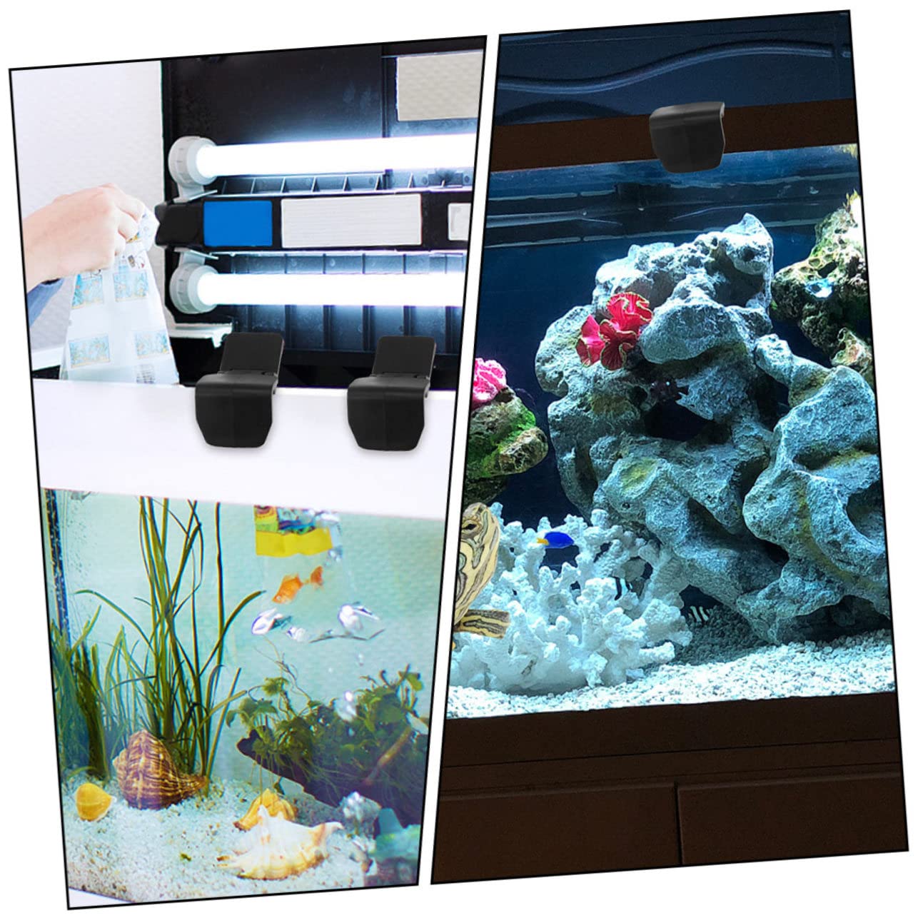 FRCOLOR 6 Sztuk - Blokada Ewakuacyjna Części Do Terrarium Dla Żółwi Zatrzask Zbiornika Dla Gadów Dla Zwierząt Domowych Terrarium Dla Żółwi Dostaw Zatrzask Zbiornika Dla Gadów Szklana