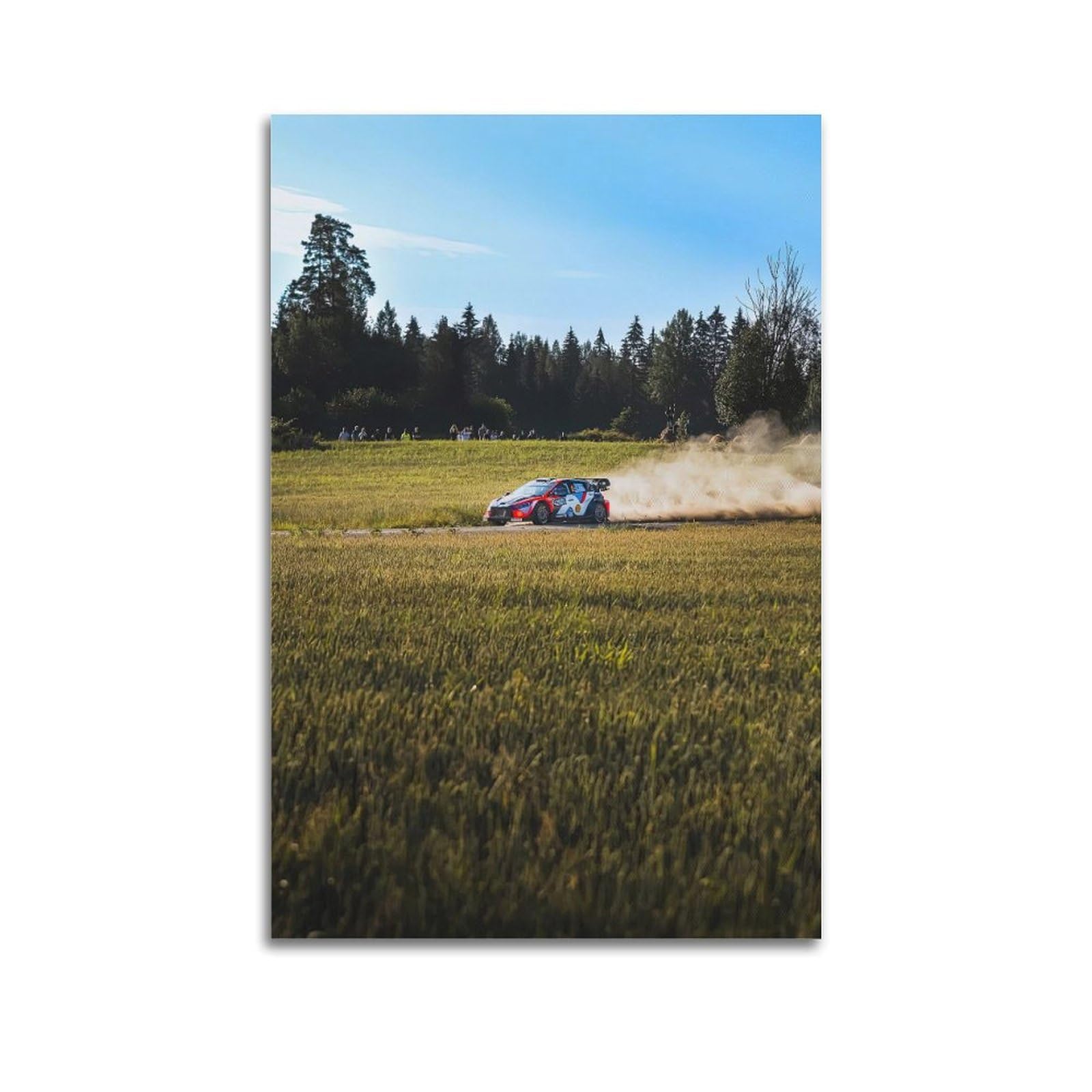 OKAHYS Rally Racing Sports Car Poster Decorative Painting Canvas Wall Artworks Picture 20x30inch(50x75cm)