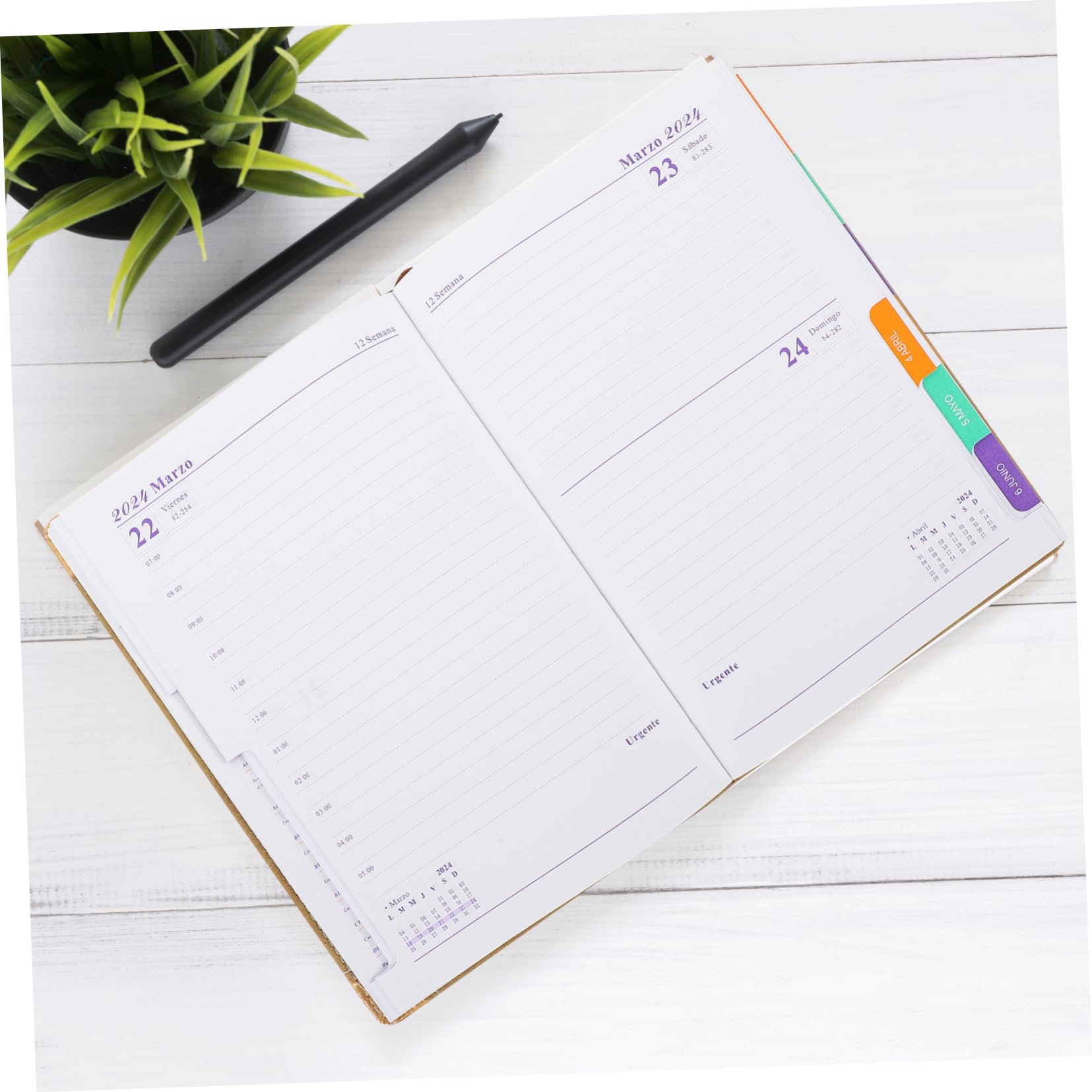 Operitacx Quaderno Planner Delicato per Studenti Blocco Note Annuale Portatile Agenda Giornaliera Facile da Usare