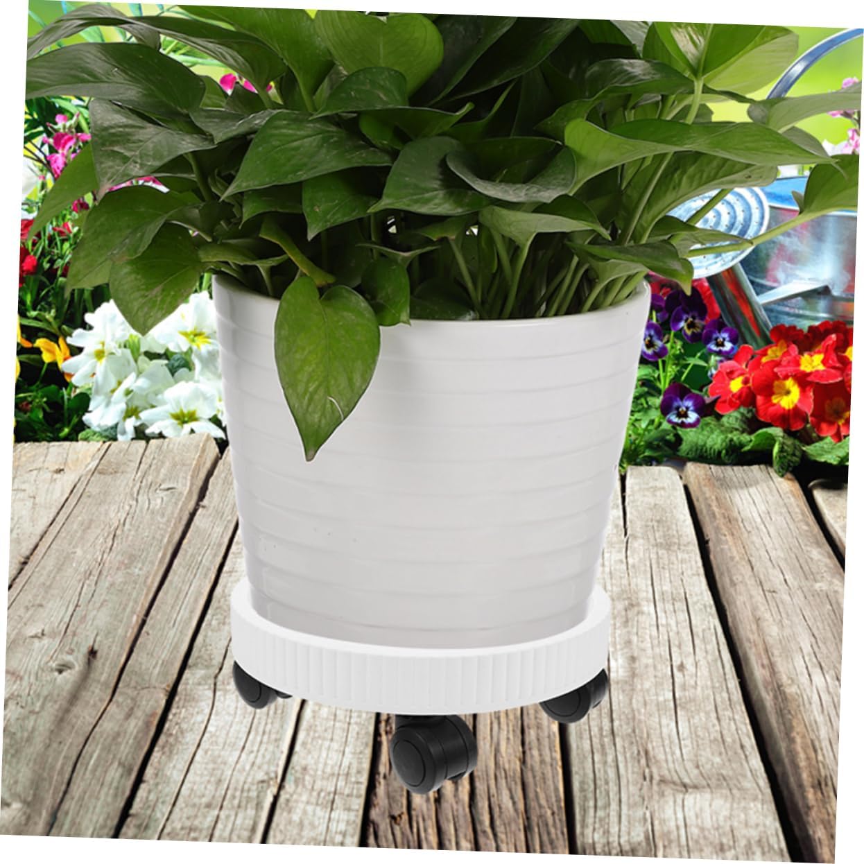 Movable Plant Tray with Wheels Heavy Duty Rolling Planter Trolley for Indoor and Outdoor Use for Potted Trees and Flower Pots Easy to Handle and Convenient