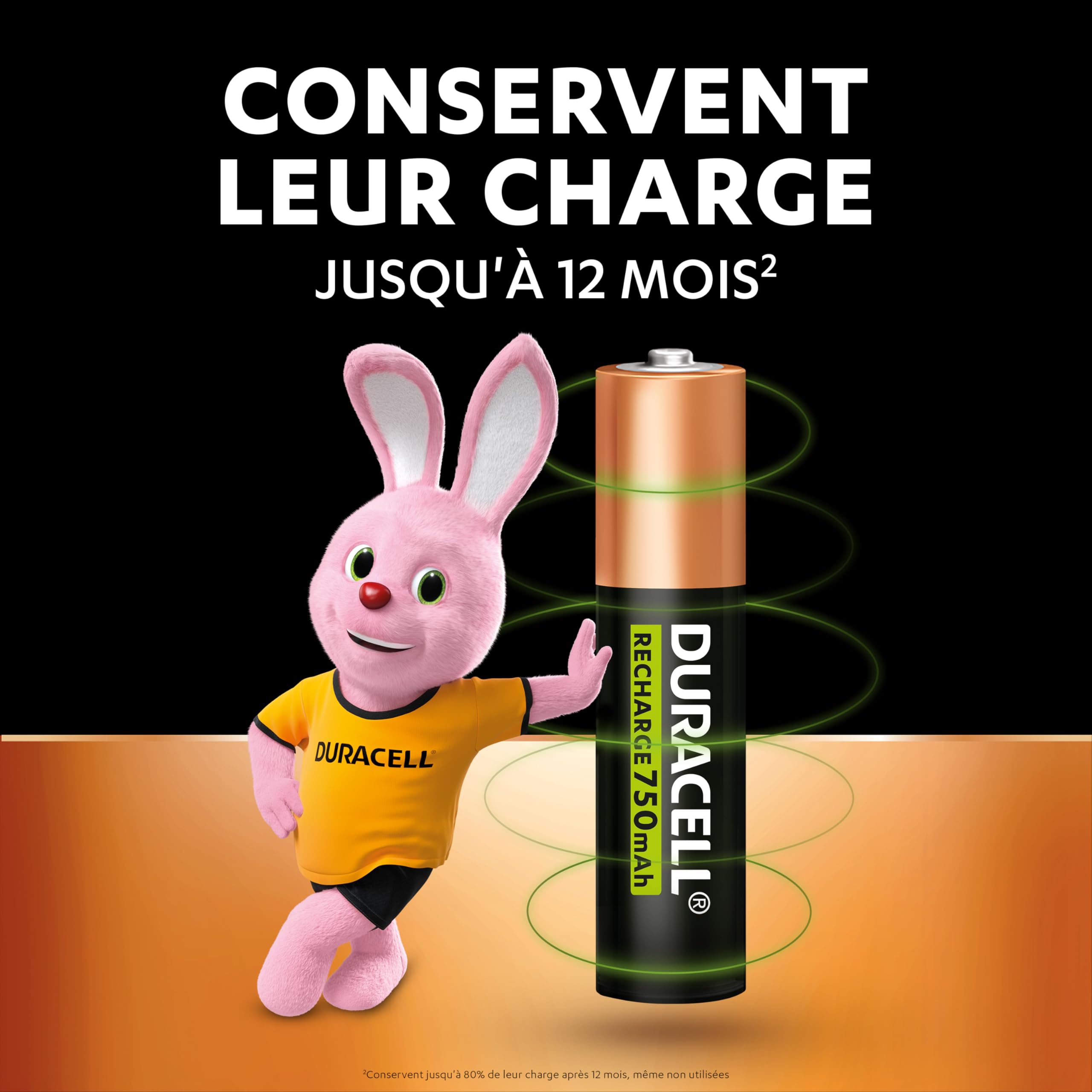 Duracell Piles AAA Rechargeables 750 mAh NiMH Lot de 4 1000 Recharges Pré-chargées