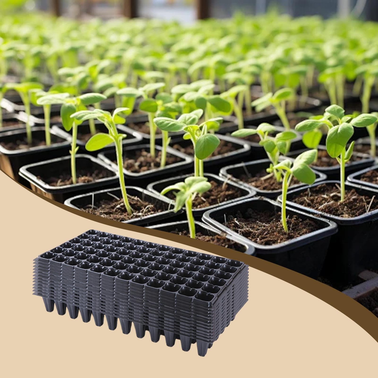 F Fityle 12 bandejas para plántulas de con Orificio de Drenaje, Multiusos, para Cultivo de microvegetales, Frutas de Granja y Interior, 72 Celdas