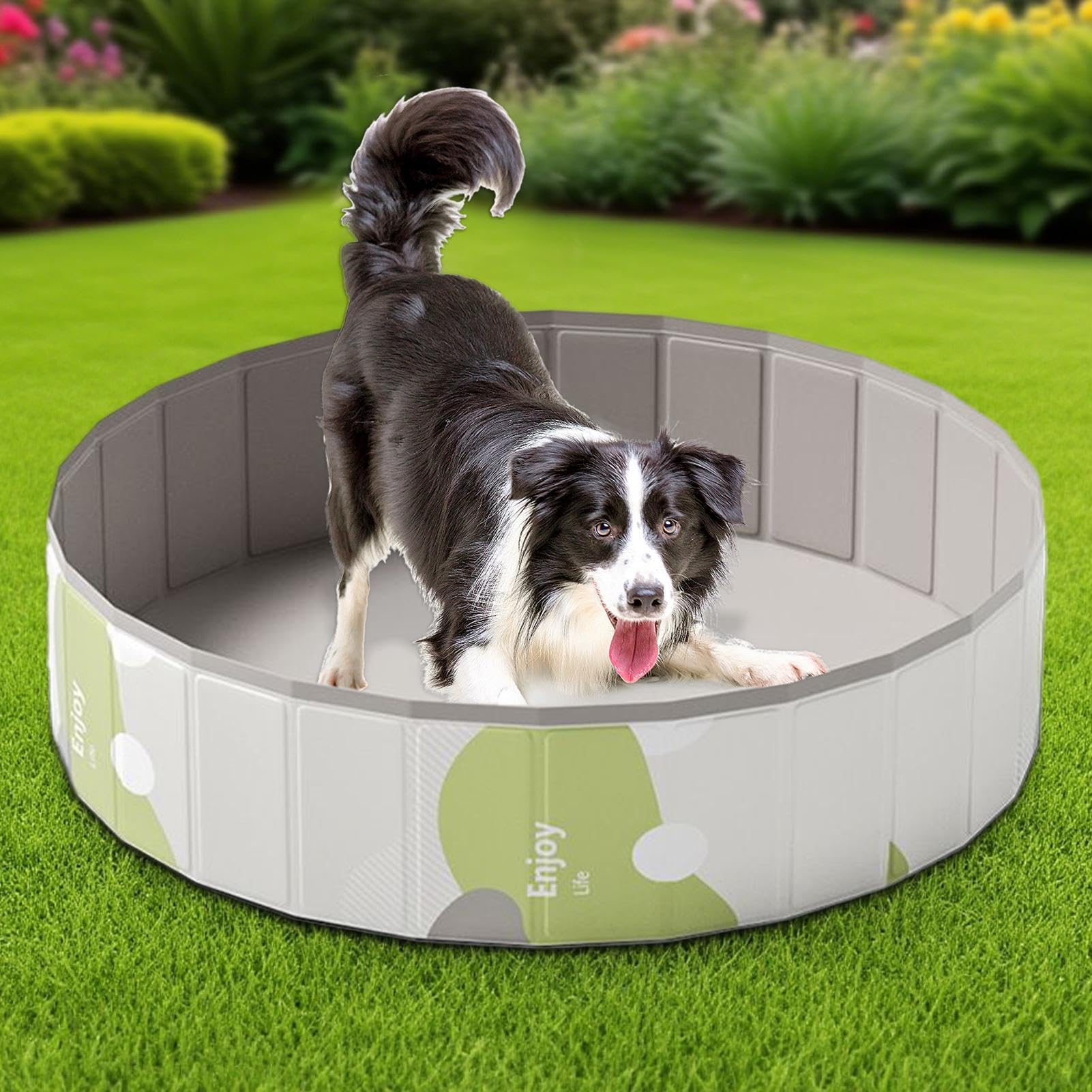 Piscine pliable pour chien, pataugeoire non gonflable, baignoire portable pour animal de compagnie, réservoir pliable pour bébé, bain, jeu, extérieur, intérieur, jardin, camping, parc, 80 x 20 cm