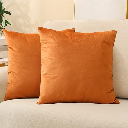 Fundas de almohada de terciopelo otoñal, funda de almohada rectangular decorativa de Halloween, fundas de cojín lisas suaves para sofá, sala de disponible en Yaxa Colombia