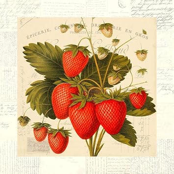 ArtExpert Fraises by Remy Dellal - 16x16 Art Print Poster