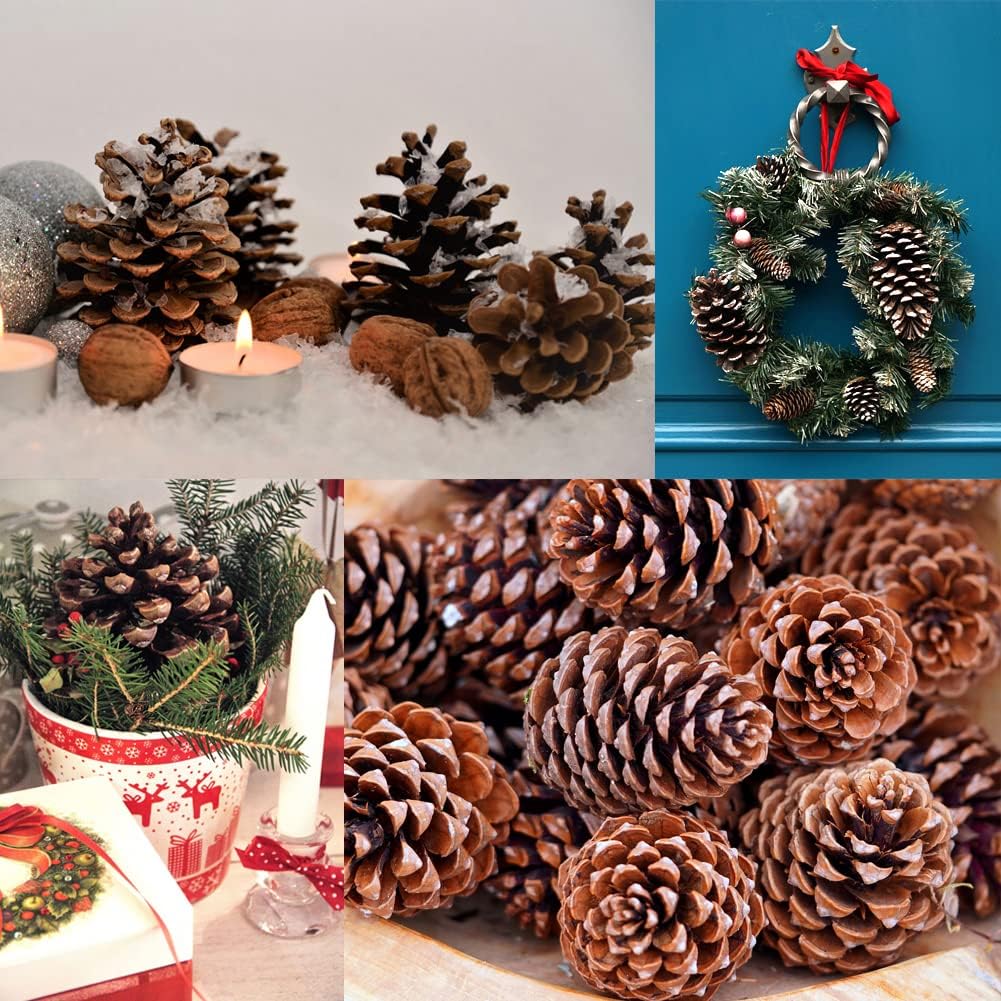 Natural Pine Cones Christmas Decoration Fall Winter Holiday Home Decor Vase Filler (10 Pinecones)