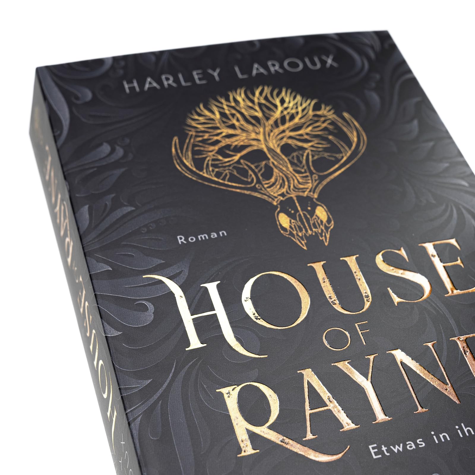House of Rayne: Etwas in ihr erwacht.
