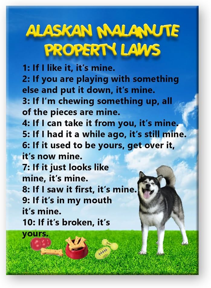 Alaskan Malamute Property Laws Fridge Magnet
