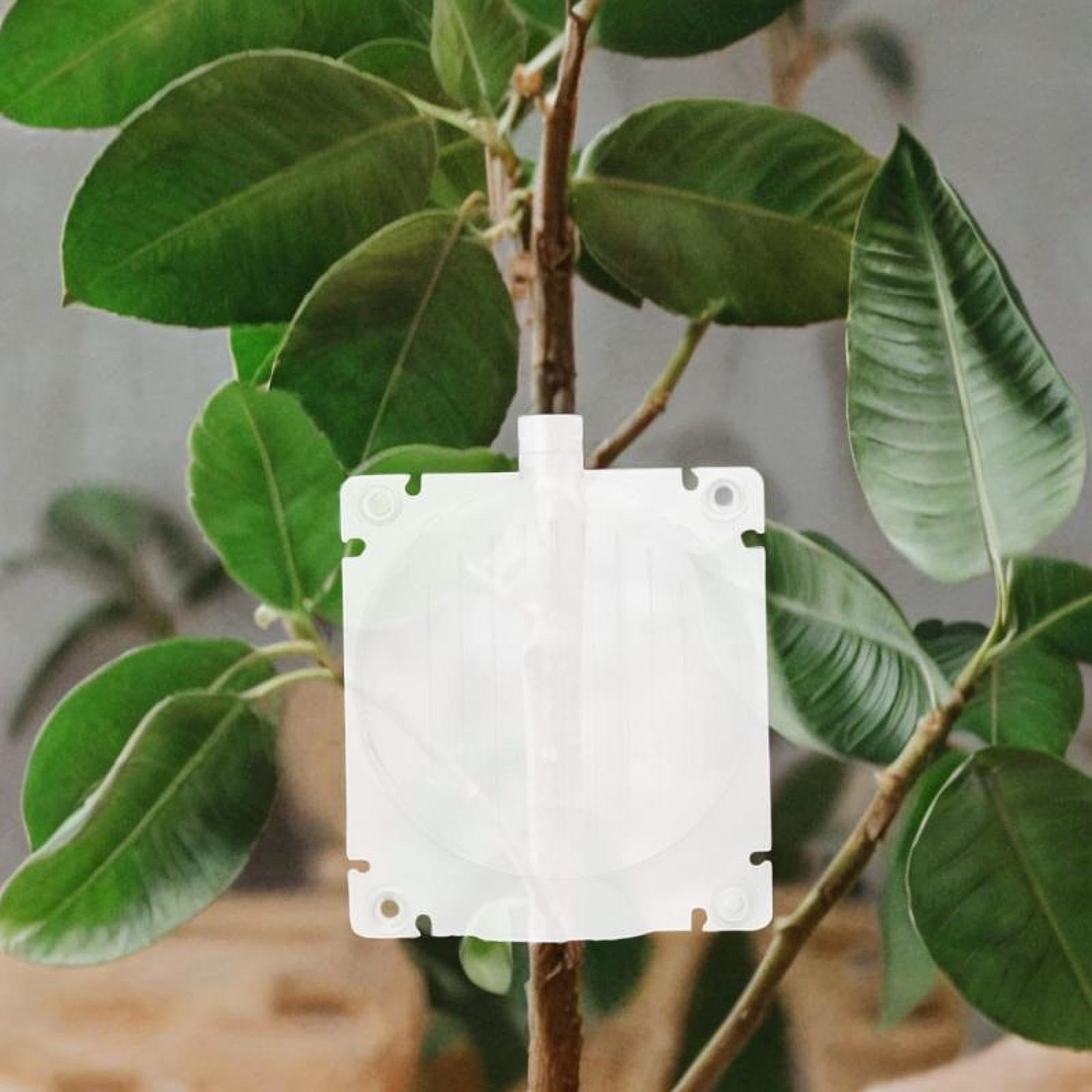 12 Pezzi Scatole Radicamento Piante - Sfere Innesto Per Giardinaggio, Diametro 5cm - Foto 3