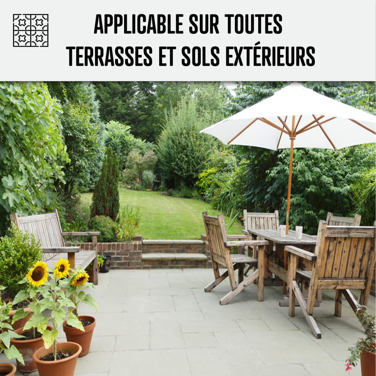 Anti Mousse Terrasse Produit Concentré pour 250m² 1 L (jusqu'à 250 m²) | Fongicide et Algicide, Détruit Dépôts Verts, Lichens et Algues, Terrasses, Pierre, Carrelage, Béton - Arcane Industries