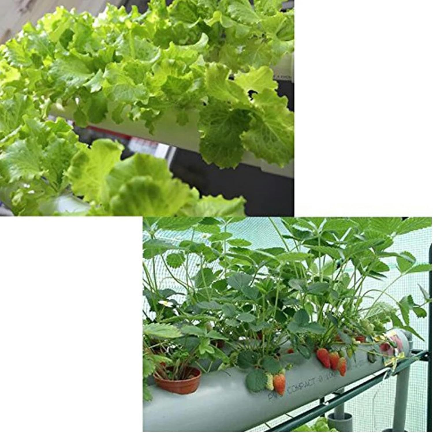 54 Holes Hydroponic Piping Grow Kit, Planting Tools, Gardening System Nursery Pot Hydroponic, Soilless Plant Growing Systems, Vegetable Planting Grow Kit Rack
