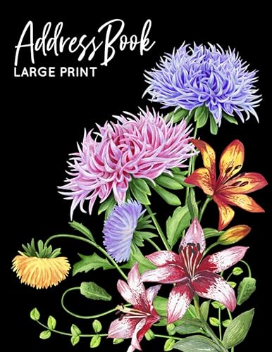 Address Book Large Print: Address Book Large Print For Seniors : Telephone Address Book Big Print With A-Z Alphabet Index : Records Name, Address, Phone, E-mail address with Note Section