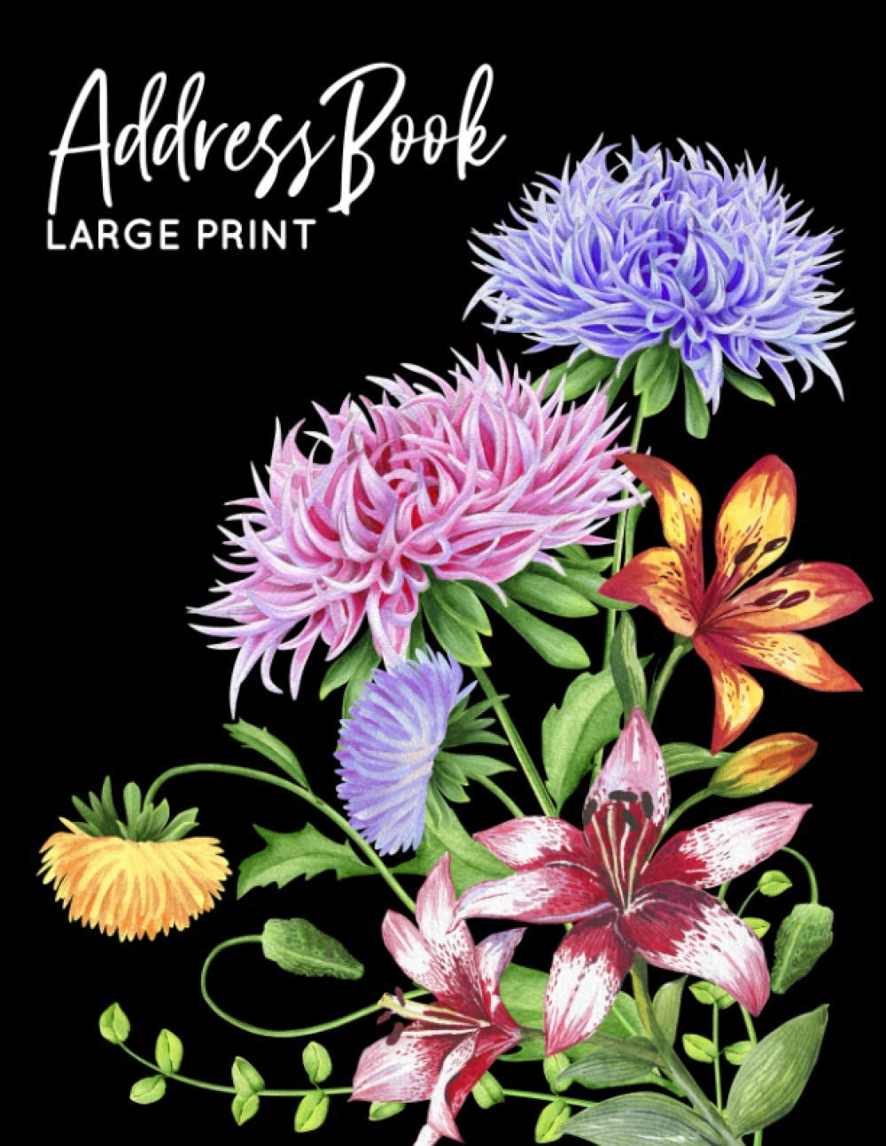 Address Book Large Print: Address Book Large Print For Seniors : Telephone Address Book Big Print With A-Z Alphabet Index : Records Name, Address, Phone, E-mail address with Note Section