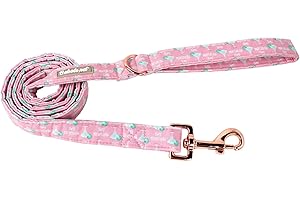 Premium Babole Pet Dog Leash with Soft Handle