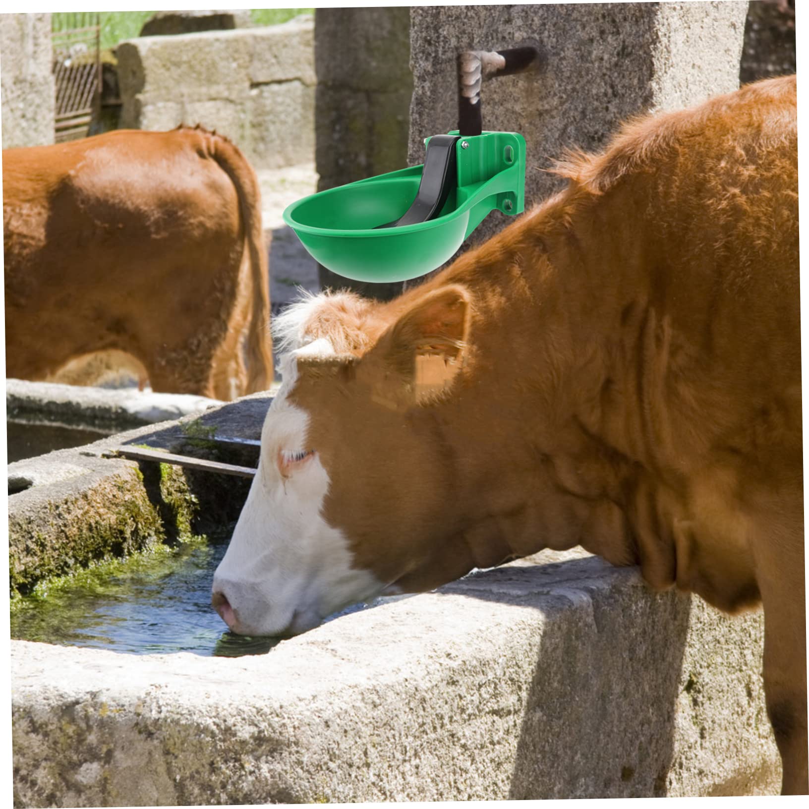 Bebedero Automático para Vacas Negro de Plástico y Hierro