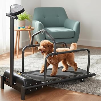 Pet Treadmill, Dog Treadmill For Small Dogs, Adjustable Speed Canine Running Slatmill Machine, Pet Training Equipment, Indoor Pet Running Machine For Training