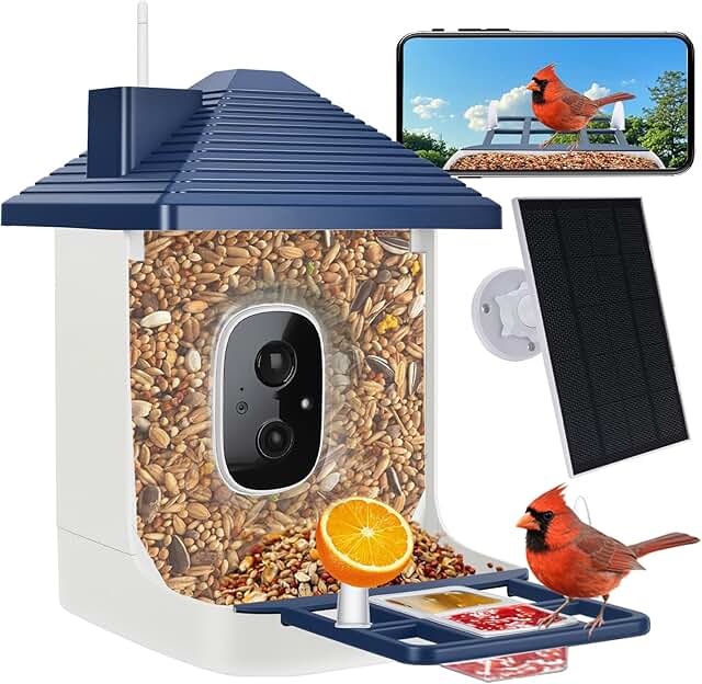Smart Bird Feeder with Camera,AI Identify Species,Bird House with Solar ...