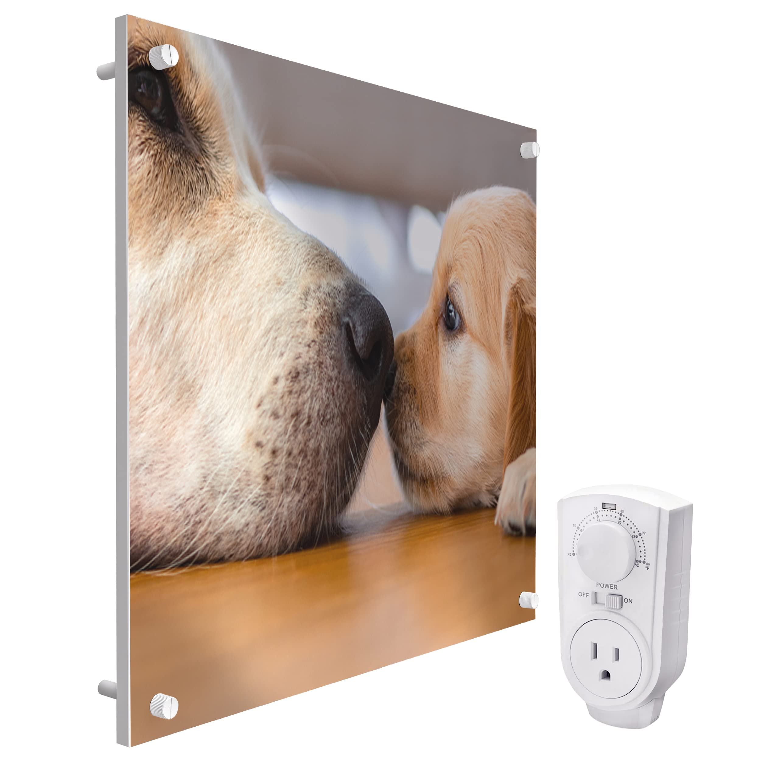 Buy EconoHome Wall Space Heater Panel 2023 Model with Thermostat