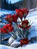 Premium Saffron Bulbs Simple to Grow – Perfect for Gardens, Cut Flowers & Enchanting Displays Winter Hardy Crocus Sativus -15 Bulbs-F