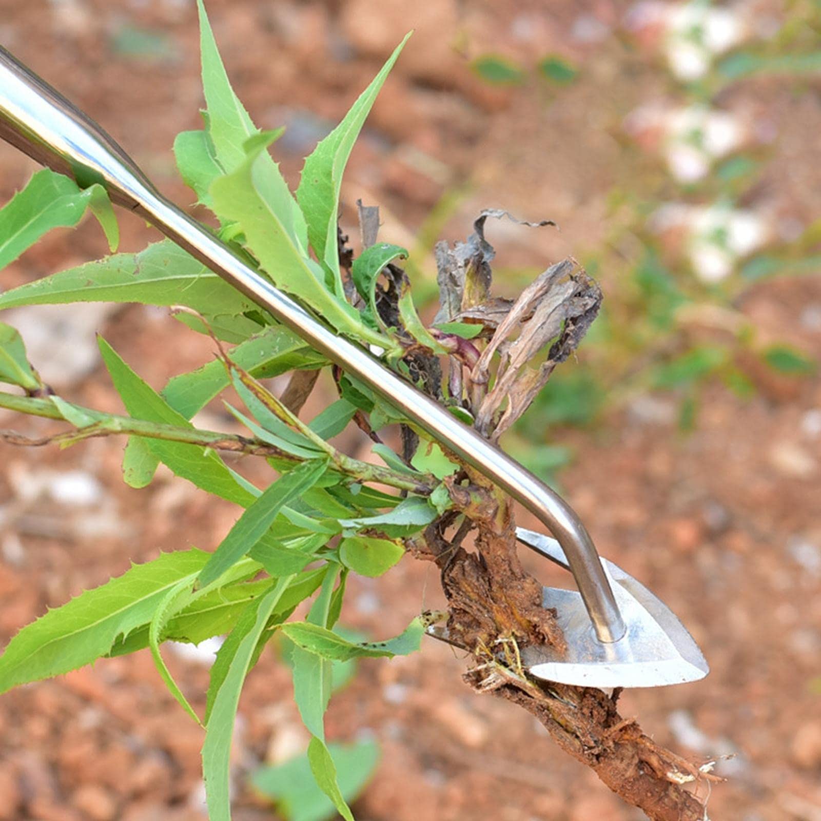 Désherbeur Manuel Multifonction - Extracteur De Racines, Manche En Bois 31,5 Cm - Outil De Jardinage Léger