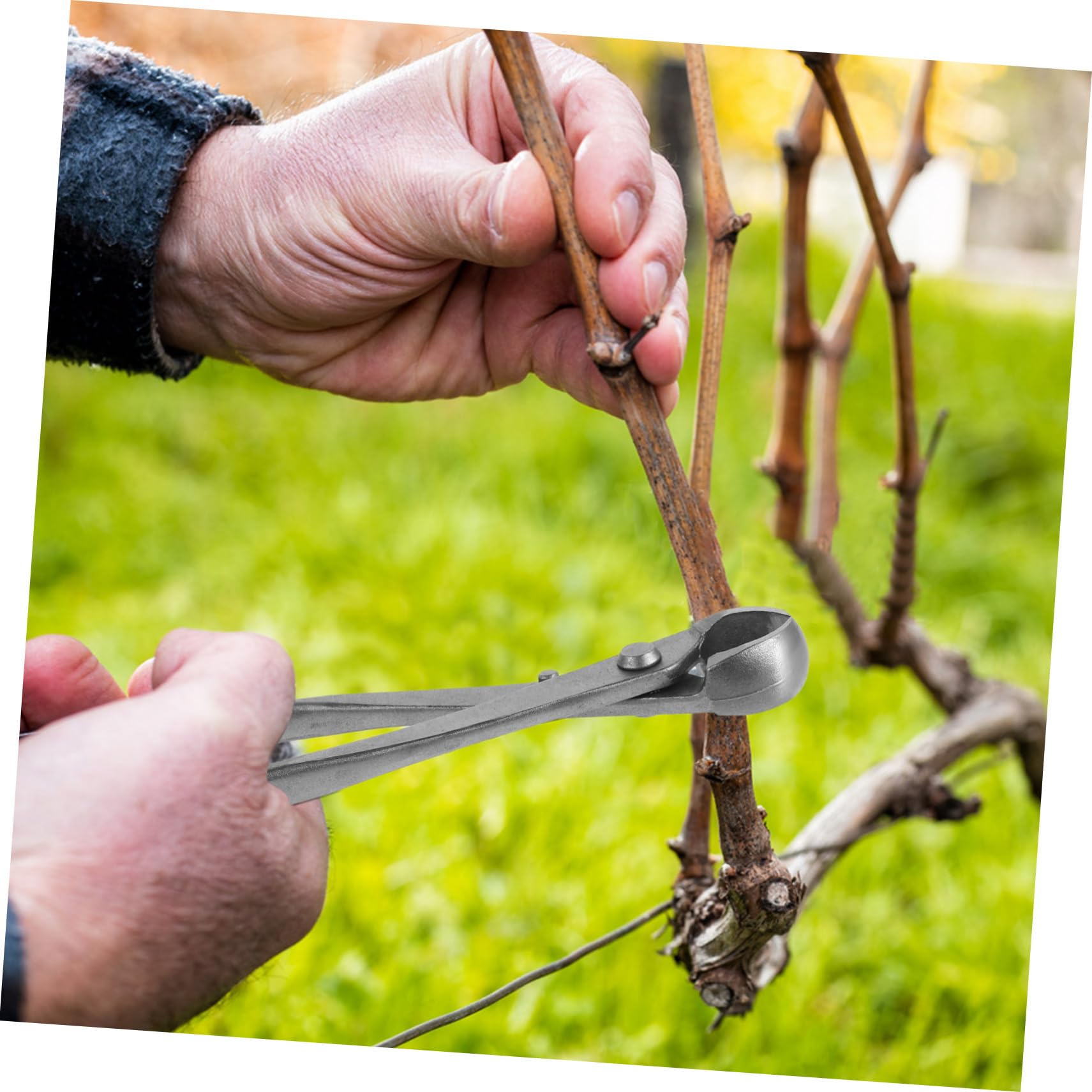 ibasenice Cesoie per Potatura Bonsai Ergonomiche Carbonio Strumenti Multifunzionali per Giardinaggio e Modellatura Piante per Potatura e Rifinitura Dettagliata