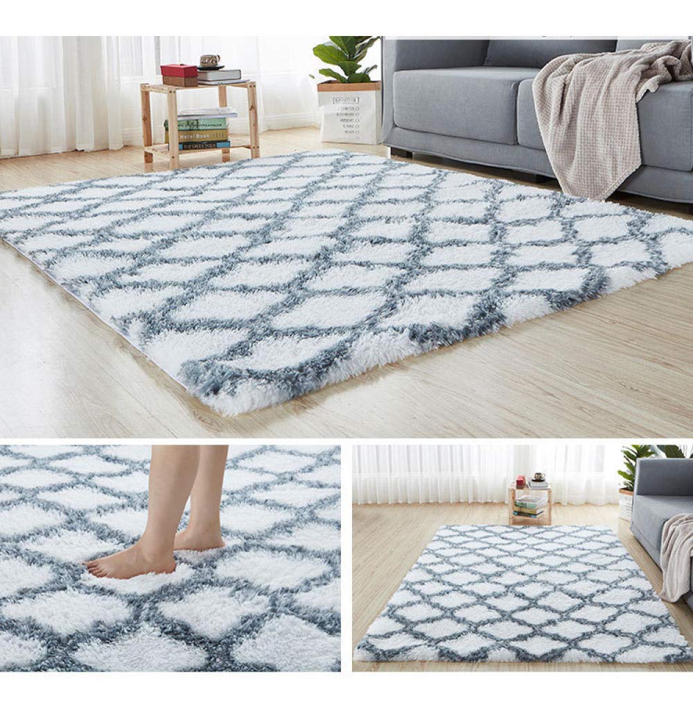 Amazon.com: ZJXSNEH Fluffy Area Rug Plush Carpet Decor Blanket