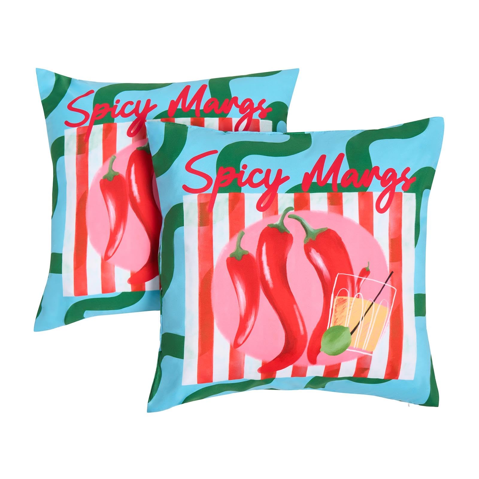 OHS Outdoor Cushion Covers 45 x 45 Decorative Spicy Margs Slogan Chilli Print Outdoor Cushions Waterproof Soft Garden Cushions Home Decor Throw Pillow Covers with Invisible Zipper Set of 2, Blue/Green