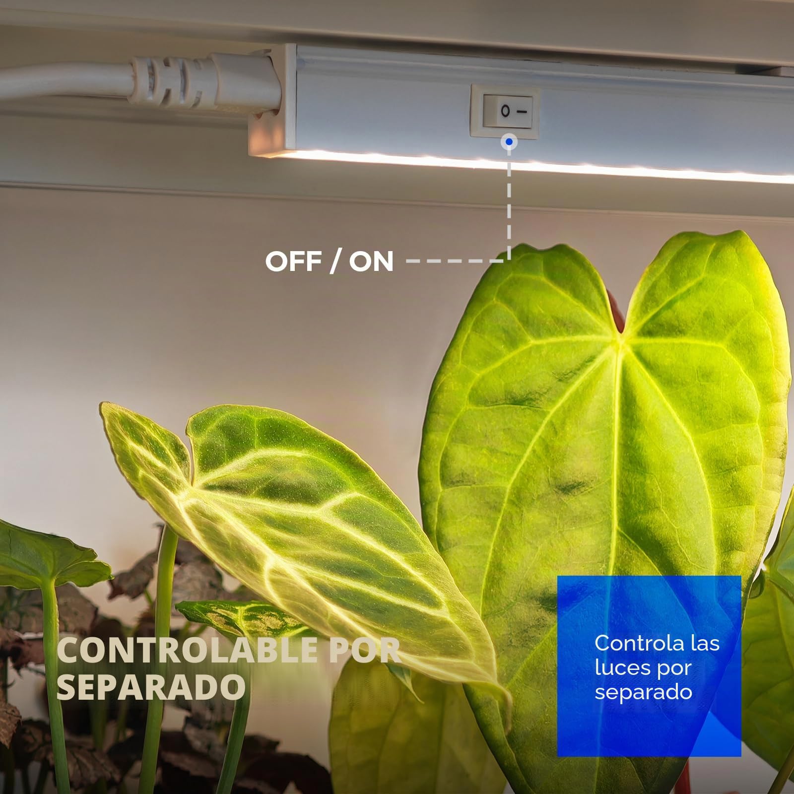 Barrina Luces de cultivo T5 de 1 pie para plantas de interior, amarillo, luz solar de espectro completo, lámpara de cultivo de plantas enlazable, tira de luz LED de crecimiento con interruptor, Plug