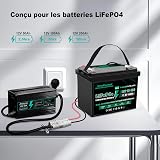 EverExceed 12V 20A Lithium Battery Charger 14.6V Lifepo4 Charger AC-DC, 100Ah Lifepo4 Battery Charger for Lifepo4 Lithium Deep Cycle Battery of Car Marine RV - 2