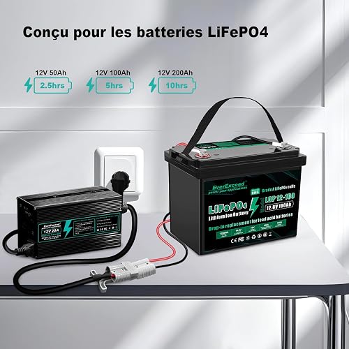 EverExceed 12V 20A Lithium Battery Charger 14.6V Lifepo4 Charger AC-DC, 100Ah Lifepo4 Battery Charger for Lifepo4 Lithium Deep Cycle Battery of Car Marine RV - 2