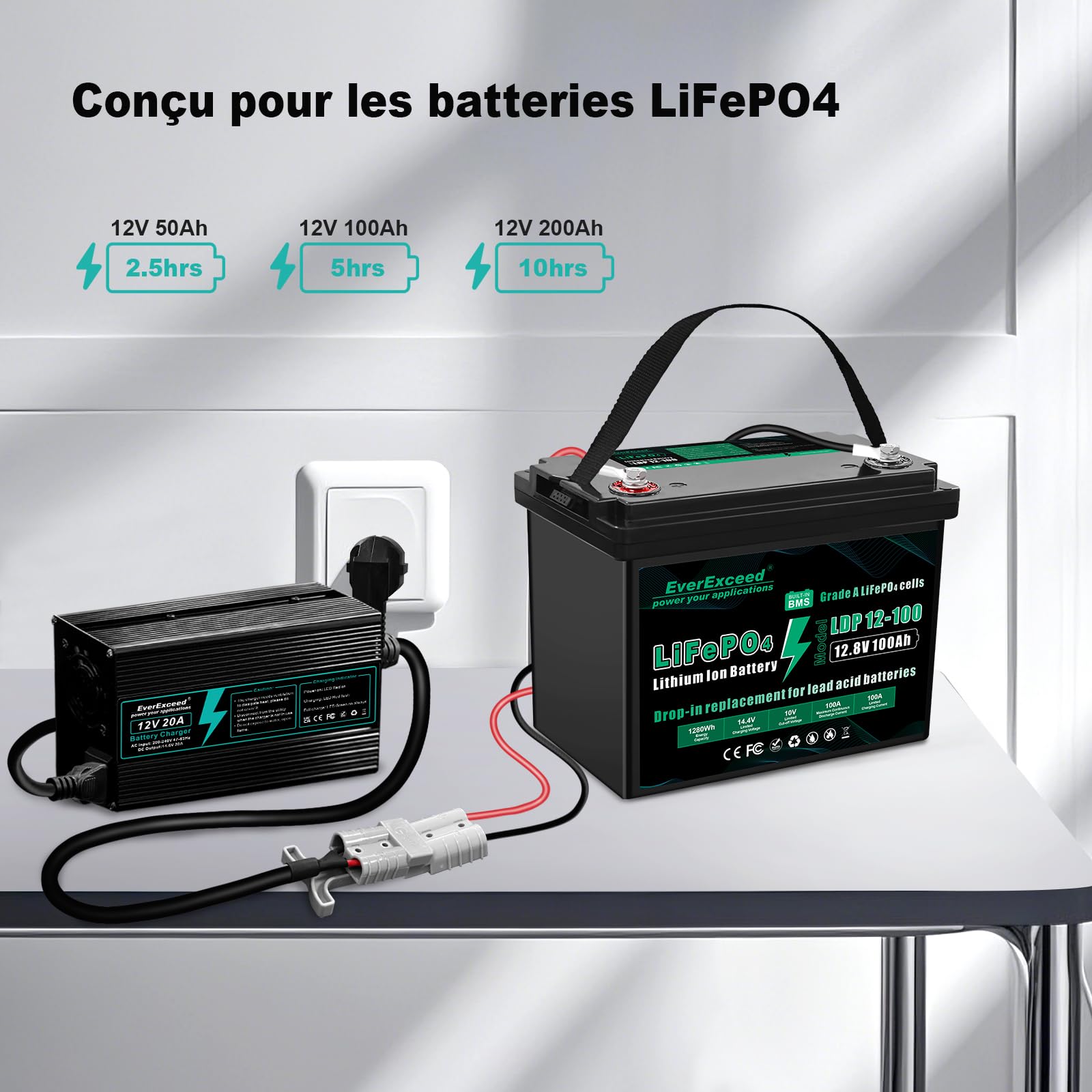 EverExceed Chargeur Lifepo4 12V 20A 14,6V Chargeur Lithium Lifepo4 AC-DC, Chargeur de Batterie Lifepo4 14,6V 20A pour Batterie Lifepo4 au Lithium à Cycle Profond de Voiture, Marine, VR