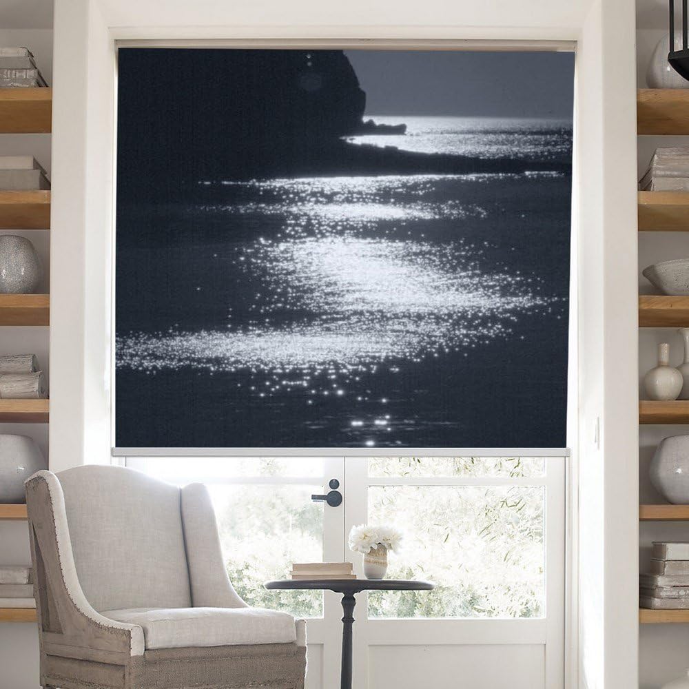 PASSENGER PIGEON Blackout Window Shades, Premium UV Protection Water Proof Custom Roller Blinds, Printed Picture Window Roller Shade，90" W x 36" L, PRB201