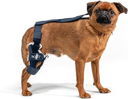 Miniatura 17 de Balto Rodillera ortopédica ACL/CCL para perros - Estabilizador de piernas ajustable para dolor en las articulaciones, recuperación de lesiones
