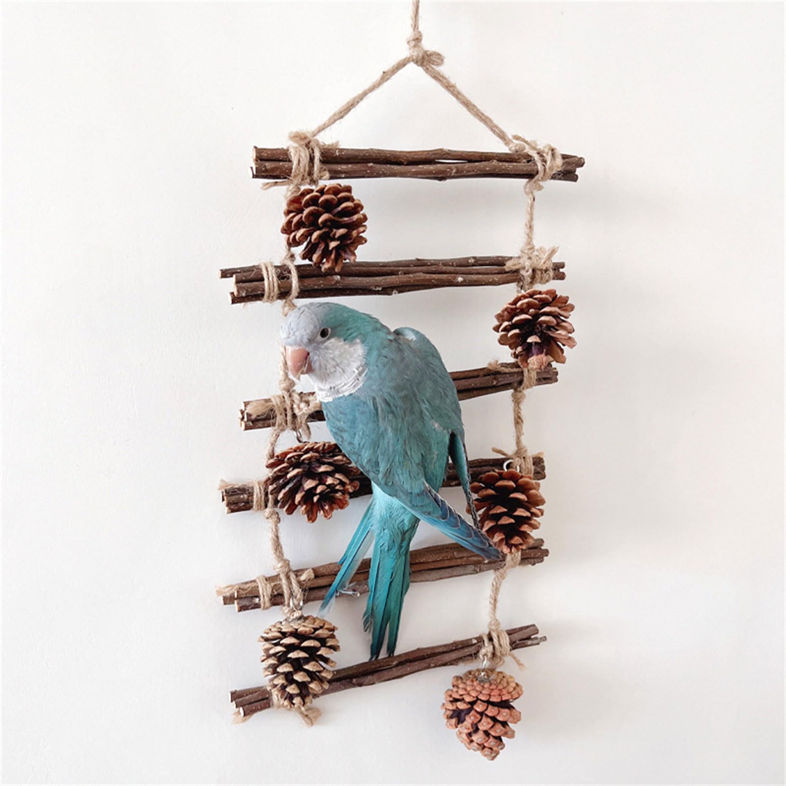 Amazon | 鳥止まり木自然木製スタンドオウムコニュア用品セキセイ