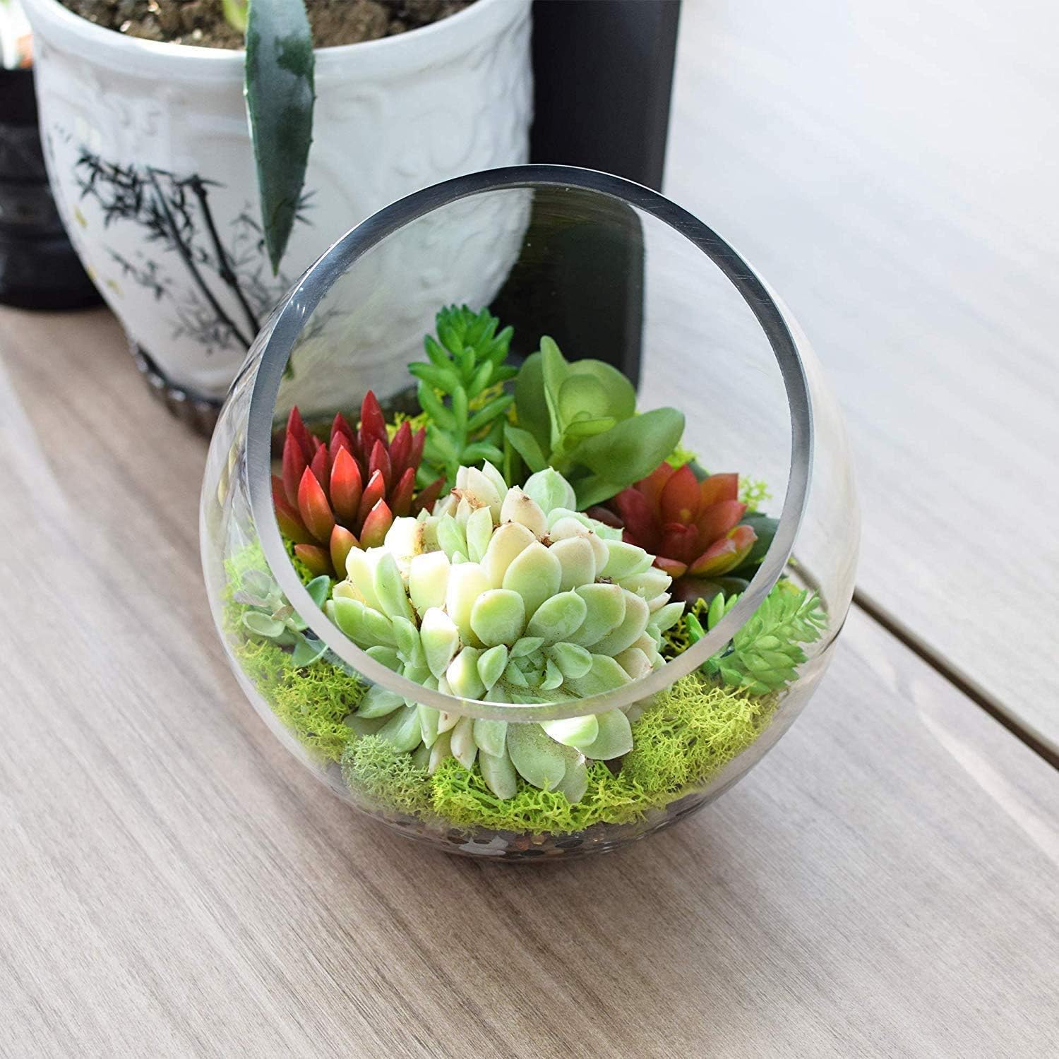 Ecosides set of 2 Glass Slant Cut Bubble Bowl,Fish Bowl,Plant Terrarium, Clear Slant Cut Globe Vase, Transparent Round Flower Vase,Candy Jar, Put Candies,Plant,Flowers,Fruit 7”X7