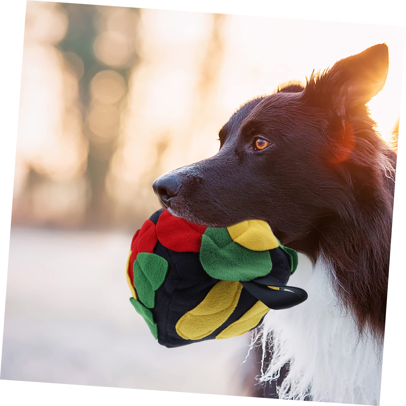 FRCOLOR 3stücke Hundeschnüffelball Interaktives Futterspielzeug Für Hunde Fördert Nasenarbeit Spielzeug Für Langsames Fressen Und Mentale Für Kleine Und Mittelgroße Hunde Retro