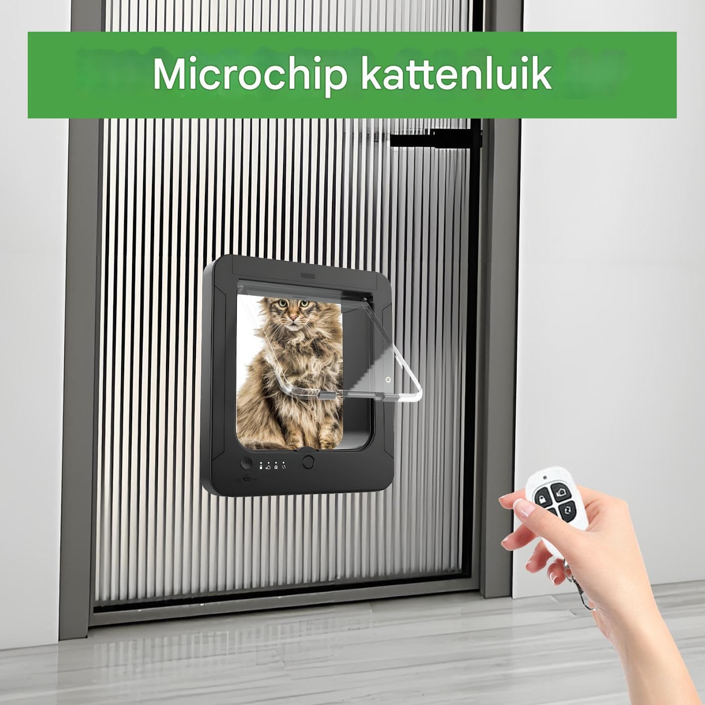 Porta Elettronica per Gatti Porta Per Cuccioli Con Blocco 4 Vie, | Accesso Controllabile per Cani Per Interni Ingresso Parete Patio Balcone Casa Garage