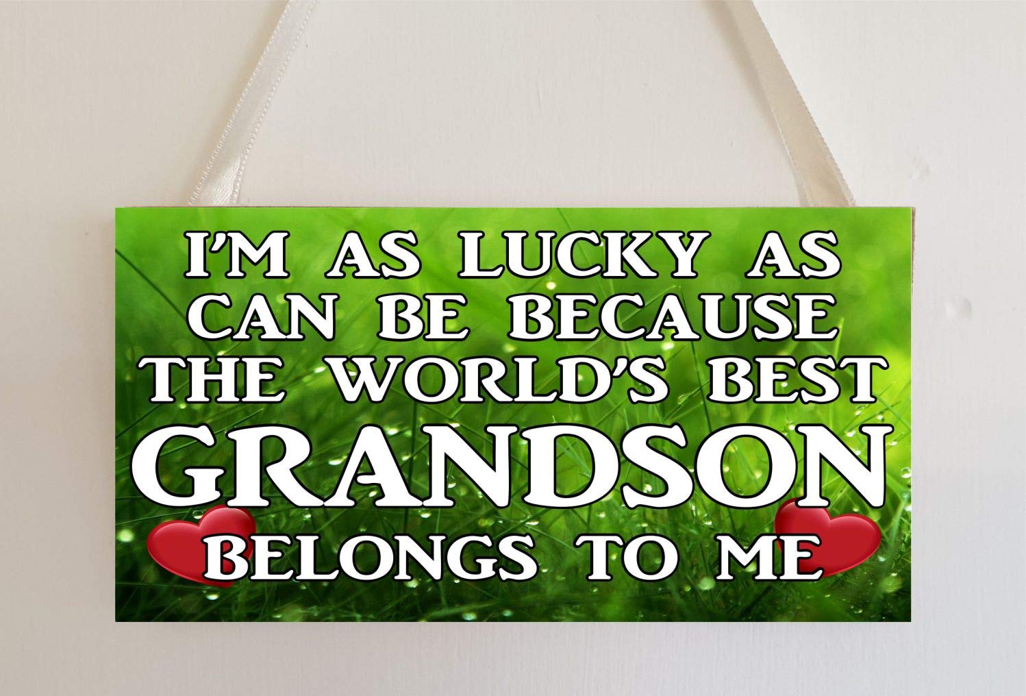 Decalarama Grandson Plaque – I'm As Lucky As Can Be The World's Best - Wall/Door Mdf Plaque Novelty Gift Present
