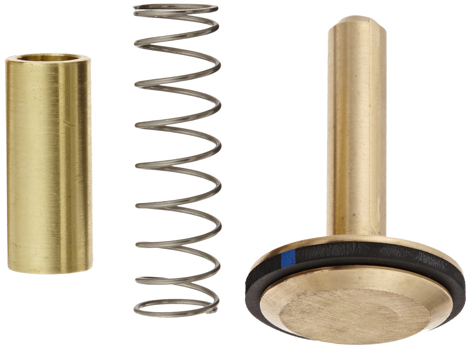 PT Coupling Clapet anti-retour de rechange en laiton pour coupleur avec clapet anti-retour, 1"