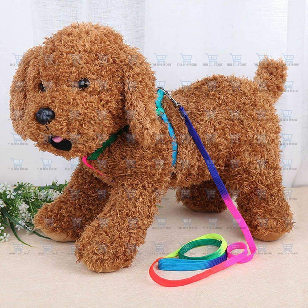 See full amazon price history chart for RvPaws Nylon Rainbow Color Harness Set for Small Dogs and Puppies and Leash Rainbow Color 15 MM Harness with Leash Small Dogs and Puppies- Pack of 1- (Multicolor) RvPaws Nylon Rainbow Color Harness Set for Small Dogs and Puppies and Leash Rainbow Color 15 MM Harness with Leash Small Dogs and Puppies- Pack of 1- (Multicolor) (B09P6FRZJR) Amazon Price History, Amazon Price Tracker