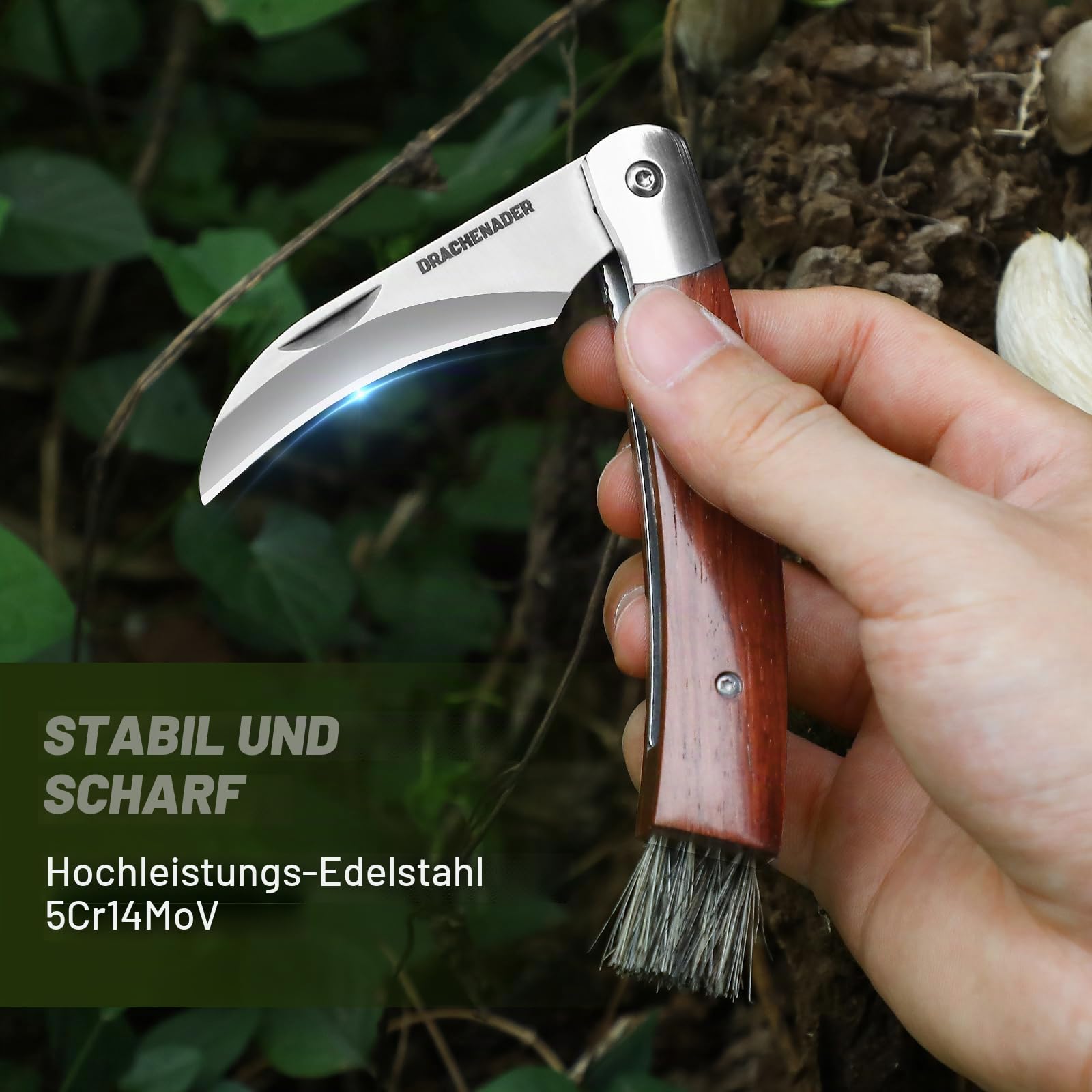 DRACHENADER Pilzmesser & Pilzkorb, Schwammerlmesser mit Bürste/Pinsel (Integriert), Liner Lock, §42a konform, Atmungsaktive, Faltbare Pilztasche mit Netz, Verstellbarem Schultergurt