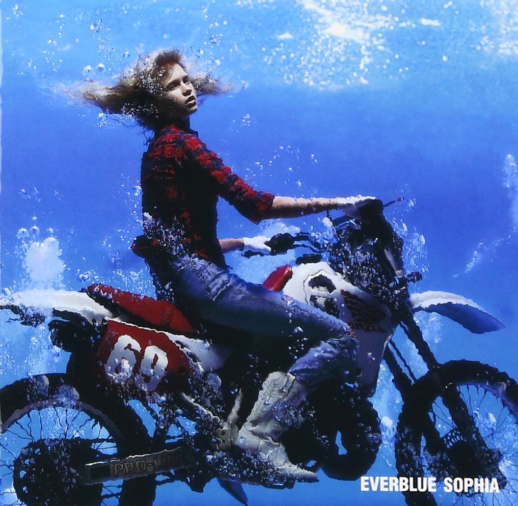 【中古品】【2枚は未開封 一部見本品】SOPHIA CD&DVDまとめ 約70枚 未開封CD】SHAZNAシャズナ／ Sophiaソフィア 豪華版 紙ジャケ