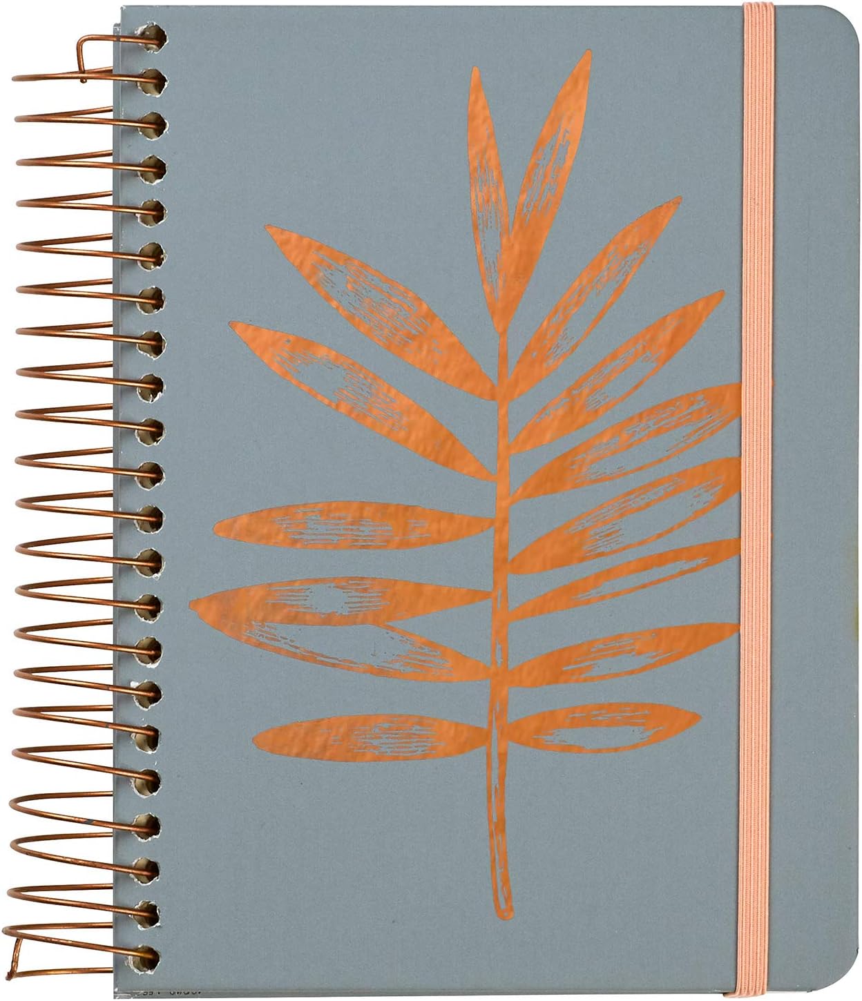 Amazon.com : C.R. Gibson Copper Leaf Three-In-One Blank, Lined, and Dot ...