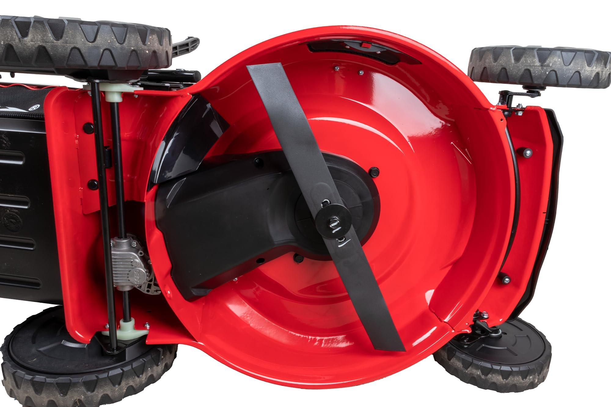 Ama Rasaerba a Trazione TRX 531H con Motore Honda GCV200 OHV, 53 cm di Taglio, Funzioni 4 in 1, Ideale per Giardini Fino a 2000 mq