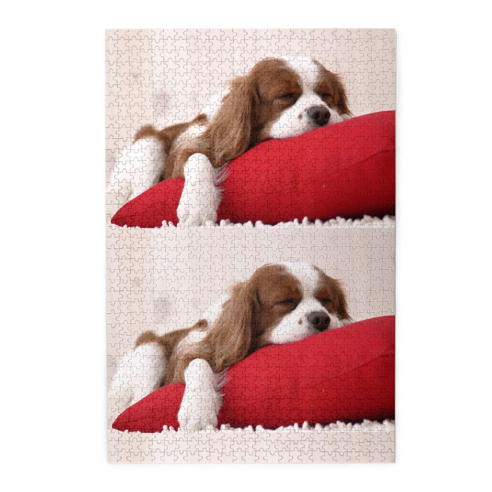 Cavalier King Charles Spaniel, puzzle da 1000 pezzi per adulti, puzzle impegnativi, puzzle a incastro