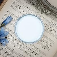 Vista 73 de Dixie Belle Paint Company - Pintura con acabado de tiza para muebles, color blanco lino (Drop Cloth), 8 fl oz, pintura mineral color blanco lino mate