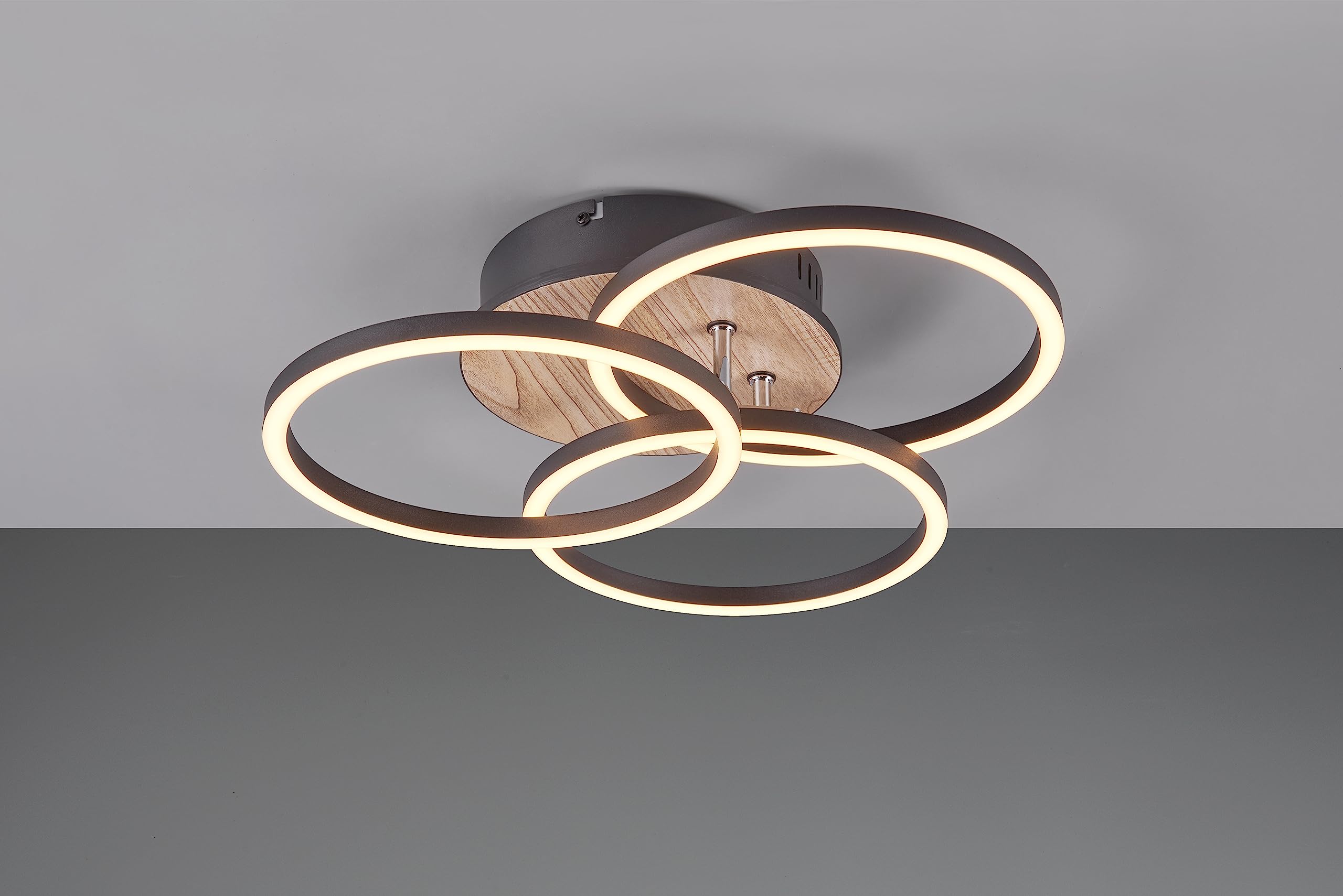 Reality, Lámpara de techo, Circle incl. 1xLED