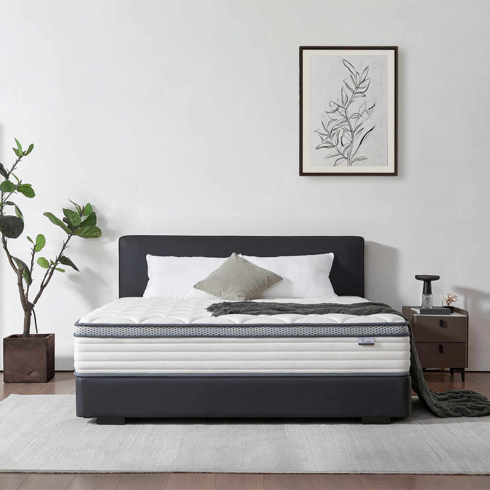 Photo 1 of Coventa 12 Inch Queen Mattress in a Box, Medium Firm Hybrid Mattress with Pocket Springs and Comfort Foam- Edge Support, Motion Isolation & Pressure Relief