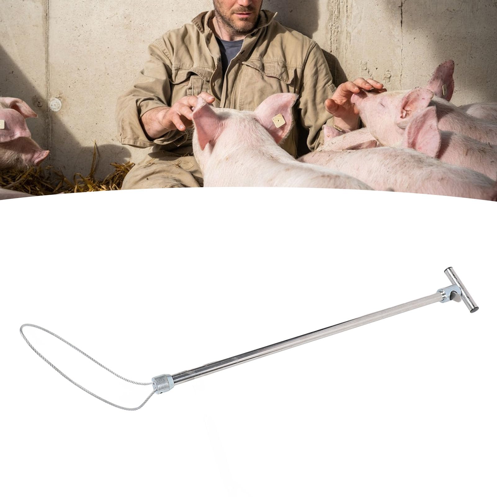 HEEPDD Acchiappacani per Cani Supporto per Maiali Asta per Maiale Catcher per Maiale Strumento per Cattura Animali in Acciaio Inossidabile per Attrezzature per L'allevamento (Maniglia a